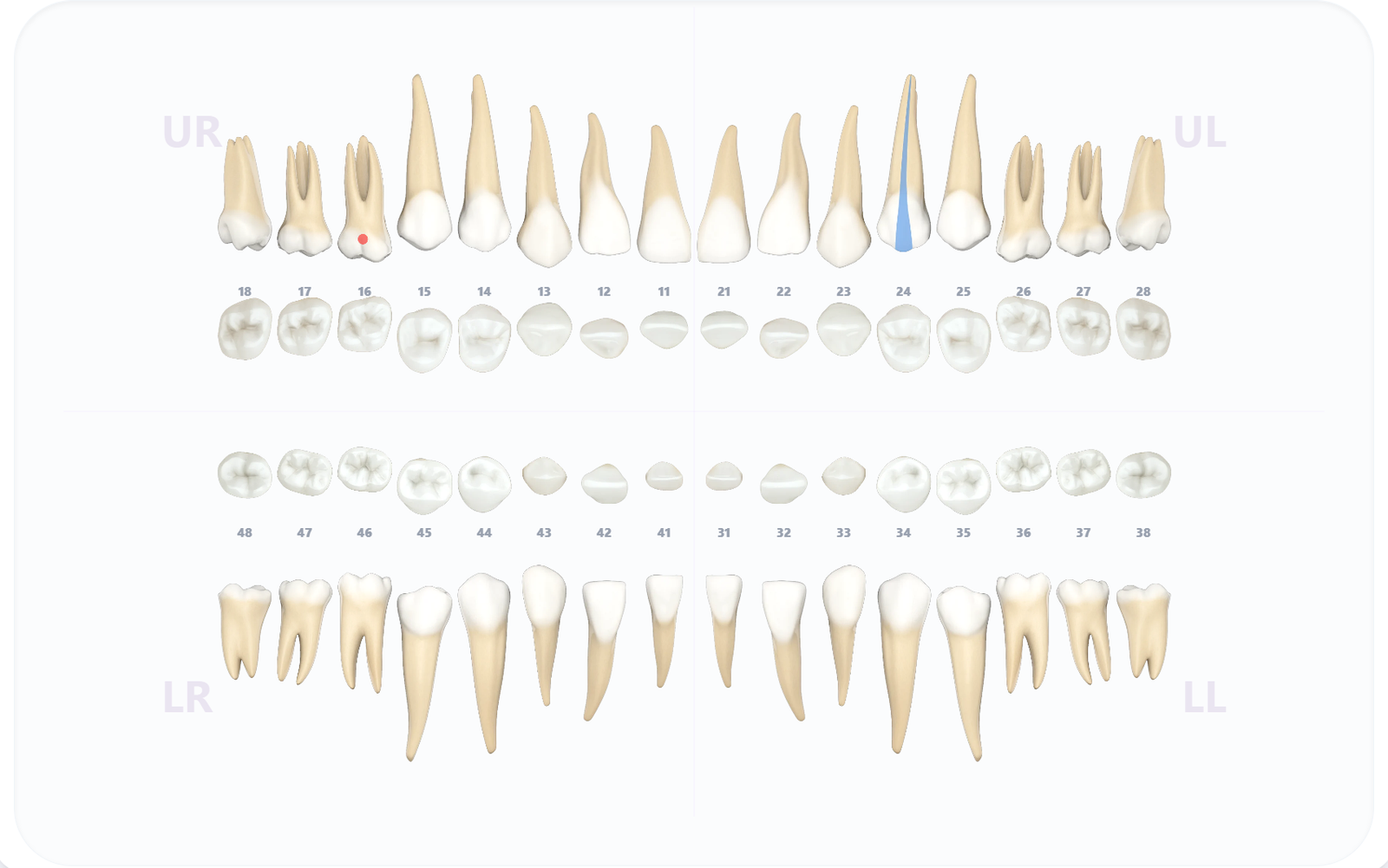 ProDental dental chart